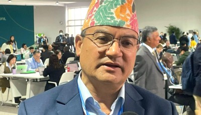 Forests Minister: Nepal's COP29 Participation Effective Image