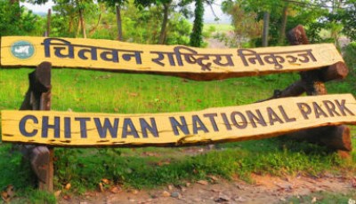 Foreign Tourists Outnumber Domestic Visitors at Chitwan National Park Image