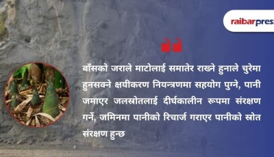 चुरे क्षेत्रको संरक्षणका लागि बाँस रोप्ने परियोजनामा नयाँ दातृ निकायको खोजी Image