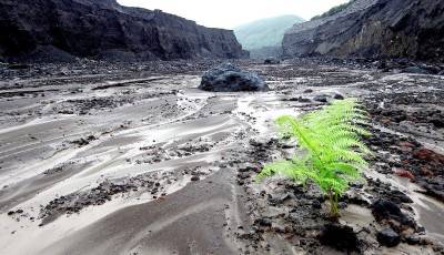 कोलम्बियामा बाँध फुट्दा १२ जना घाइते, धेरै बालबालिका बेपत्ता Image