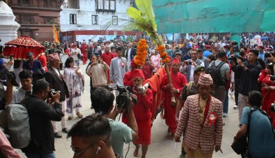 हनुमान ढोकाको दशैँ घरमा फूलपाती भित्र्याइयो । (फोटोहरु सहित) Image