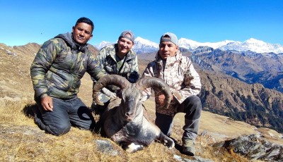 "ढोरपाटन सिकार याम: १० नाउर र ५ झारलको सिकार, बनेलप्रति चासो न्यून" Image