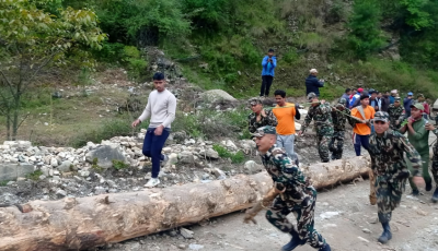 रडिखेल्ला जंगलबाट ५२ हाते लिंगो  चन्दननाथ-भैरवनाथ मन्दिरमा ल्याइयो Image