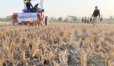 झापामा शून्य खनजोत प्रविधिबाट मकैखेती Image