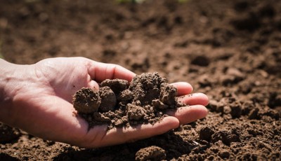 Exciting Events Mark World Soil Day Celebrations Image