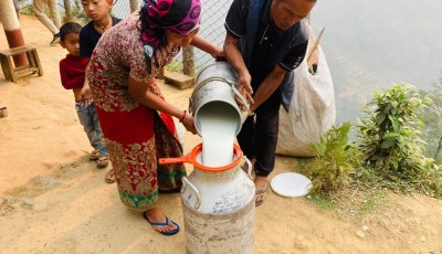 बागलुङका किसानको दुग्ध उत्पादनमा नयाँ ऊर्जा: सहकारीको सफलता कथा Image