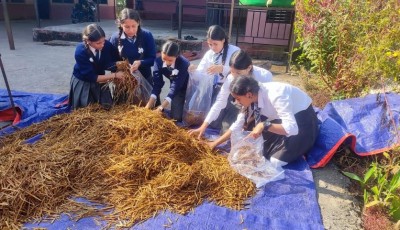 विद्यार्थीद्वारा व्यावसायिक च्याउखेती Image