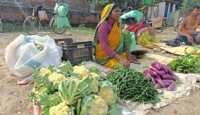 भारतबाट आउने तरकारीका कारण नेपाली किसान समस्यामा Image