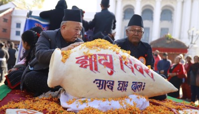 आज योमरी पूर्णिमा पर्व हर्षोल्लासका साथ मनाउँदै नेवार समुदाय Image