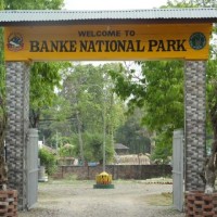 Jungle Safari Starts in Banke National Park Image