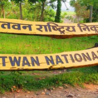 Foreign Tourists Outnumber Domestic Visitors at Chitwan National Park Image