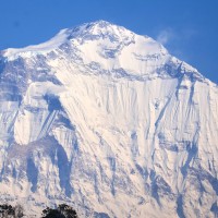 Dhaulagiri Himal After Snowfall Image