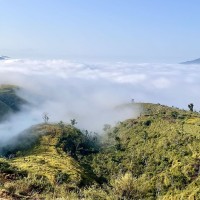 आज अधिकांश ठाउँमा मौसम सफा, उच्च पहाडी र हिमाली क्षेत्रमा हल्का हिमपातको सम्भावना Image