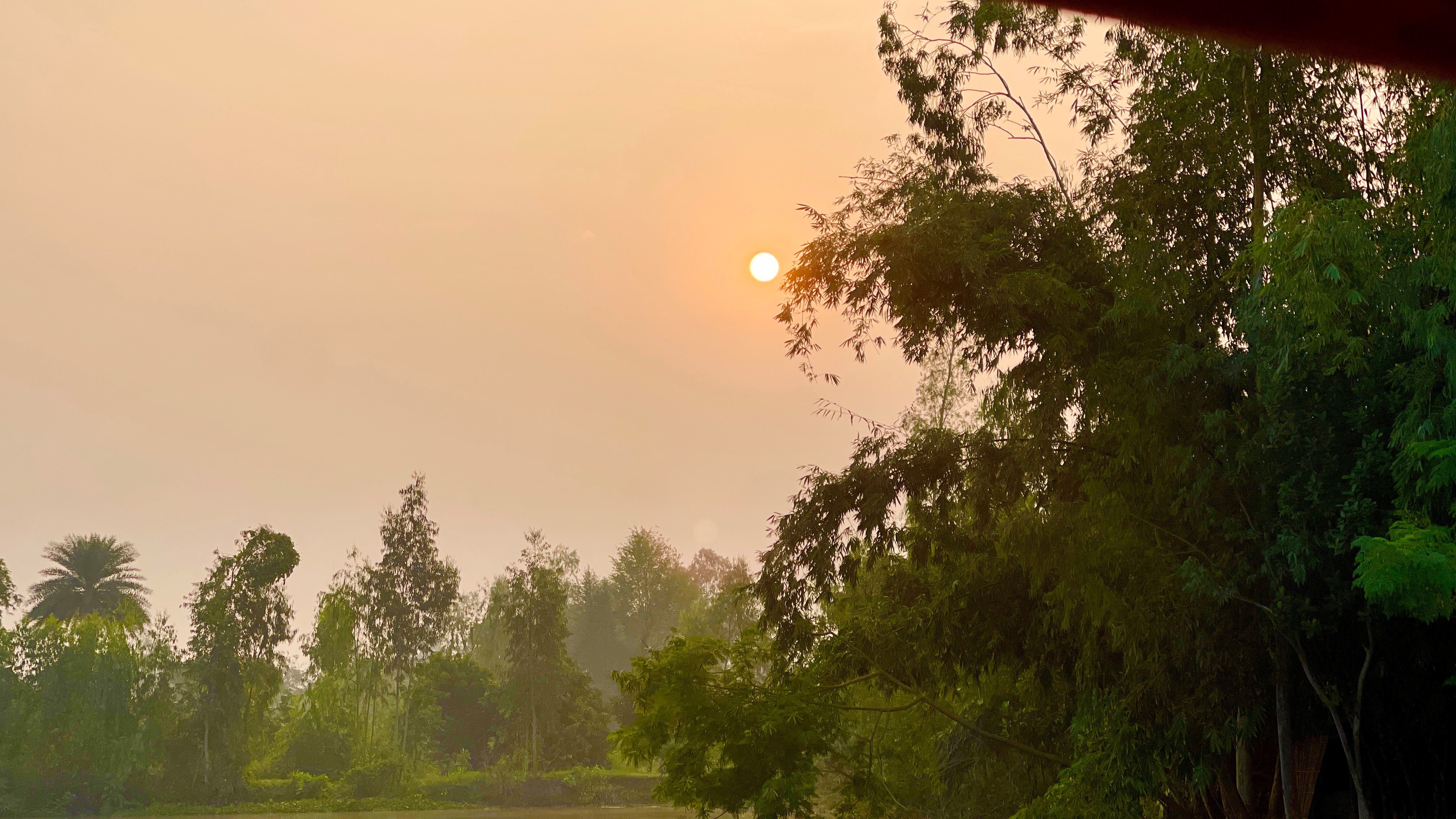 आज सूर्यदेवको विशेष पूजा आराधना गरिँदै